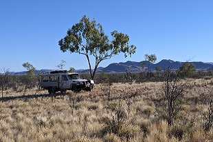 NTGS fieldwork