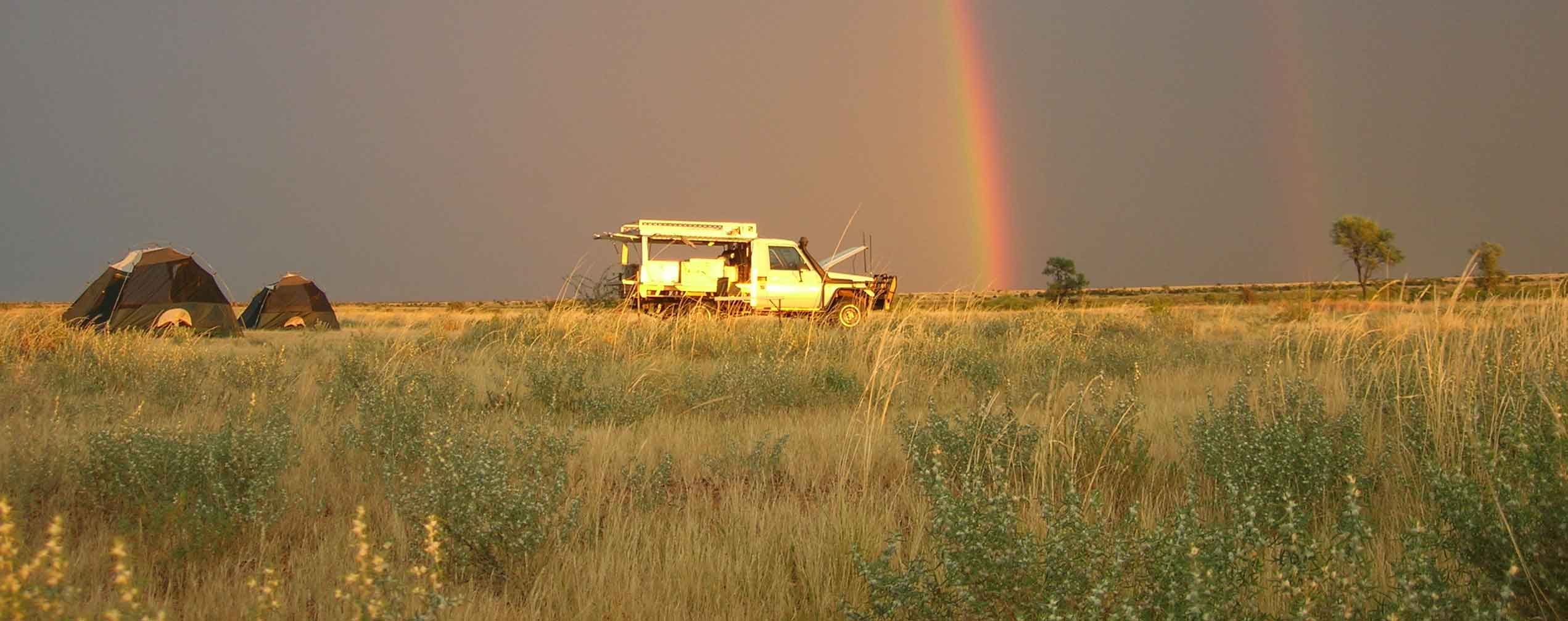 rainbow camp