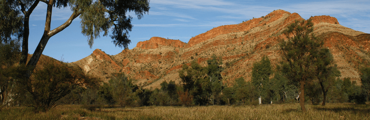 Mineral sands mine
