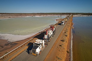 NDI trucks