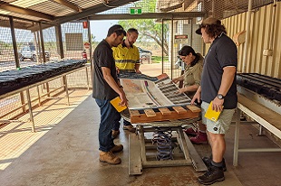 Carrara 1 core viewing