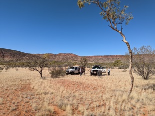 Limbla fieldwork